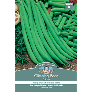 Mr Fothergill's Climbing Bean Epicure Seeds