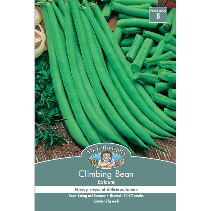 Mr Fothergill's Climbing Bean Epicure Seeds