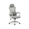FORTIA Ergonomic Office Chair, Height Adjustable Lumbar Support, White/Grey