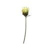 65cm Waratah Native Artificial Flower