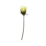 65cm Waratah Native Artificial Flower