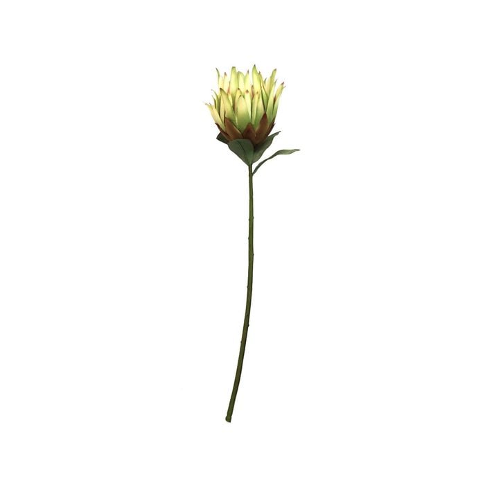 65cm Waratah Native Artificial Flower
